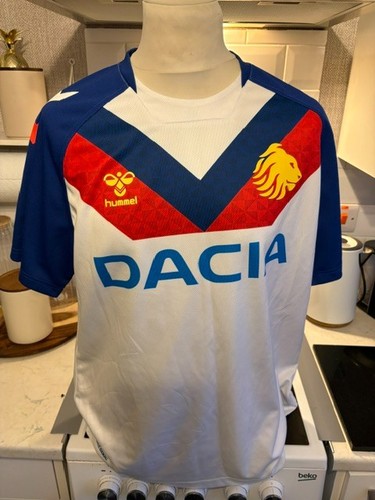 Rare british lions rugby - lions,