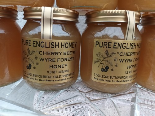 Pure honey fresh 1ib - honey,