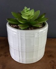 Faux succulent cactus plant - succulent/,