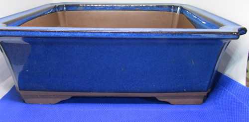 Bonsai tree pot original - bonsai, pot-original