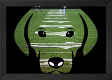 Puppy I Football Field Framed