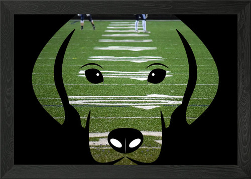 Puppy football field framed - field,