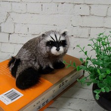 Realistic raccoon lifelike - realistic,