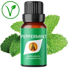 Pure Peppermint Essential Oil - Mouse Mice Rat Fly Bug Insect Spider Repellent