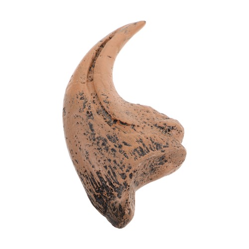 Simulated animal model - simulated,