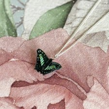 Green Malachite Butterfly