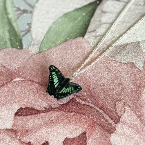 Green malachite butterfly - green,