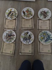 WWF Songbird Collectable Plates x 6 Very Good Condition £15 Plus £5 Postage