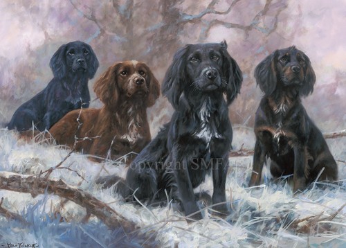 Cocker spaniel christmas cards - cocker,