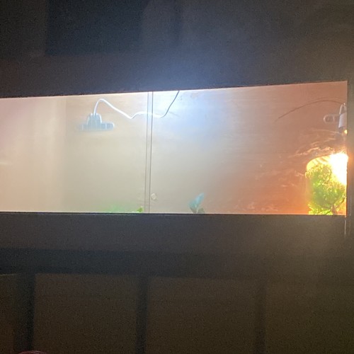 Vivarium 3ft - vivarium,