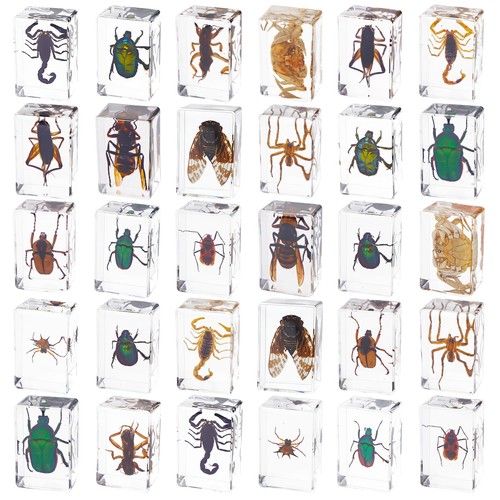 Pcs insect resin - pcs,