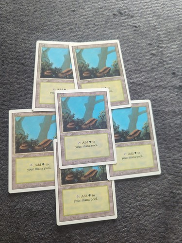 Mtg revised forest land - mtg,