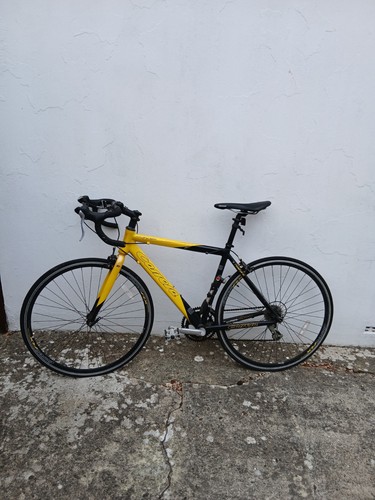 Carrera rdf road pro