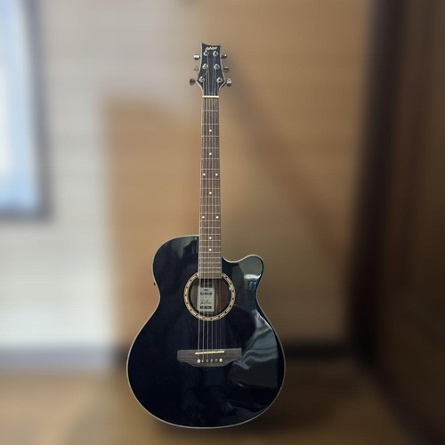 Ashton acoustic guitar cutaway - guitar,