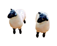 Beswick Sheep