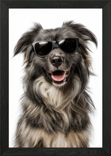 Cool Pyrenean Shepherd Dog