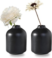 Set of 2 Ceramic Vase for