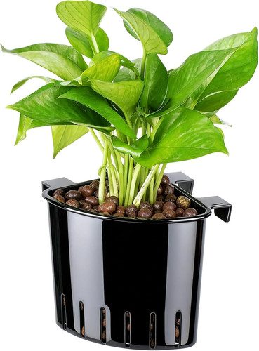 2026 latest model large - 2026,