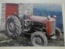 Vintage Nostalgia Photograph; Boy On Massey Ferguson 35 Tractor; Colour