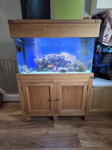Aqua oak 100cm aquarium - 100cm, &