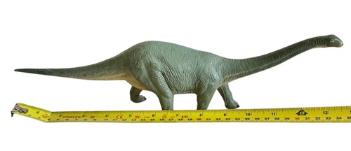 Natural history cetiosaurus - natural,
