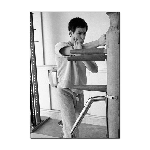 Bruce lee dummy - lee, training