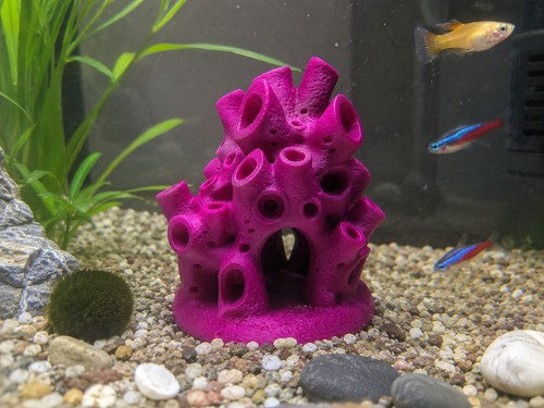 Coral covered rock - covered, aquarium