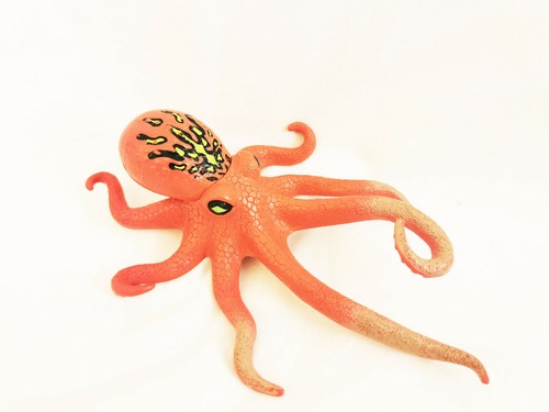 Chap mei octopus - chap, deep