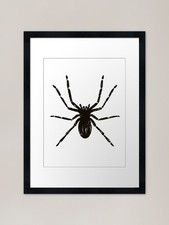 The Tarantula Framed Art Print