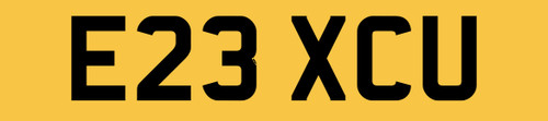 Executive travel car reg - executive,