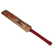 Woodworm The Wand Cricket Bat Freddie Flintoff Signature Bat