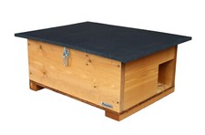 Eco-Friendly Wooden Hedgehog