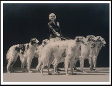 BORZOI LADY AND DOGS DOG PHOTO