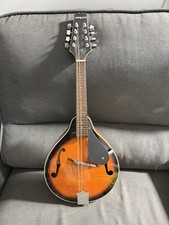 Vintage Japanese -Aria AM-20