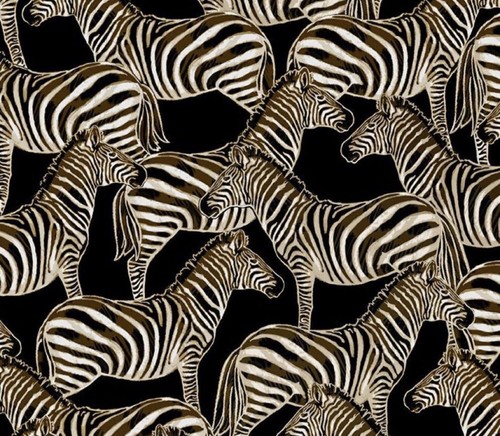 Zebras valance curtain kids - zebras,