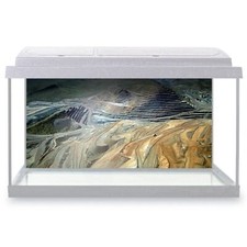 Fish Tank Background Diamond