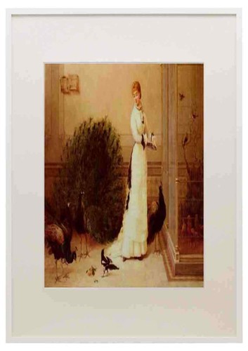 Hardy heywood the aviary - hardy,
