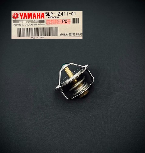 Engine radiator thermostat for - radiator,