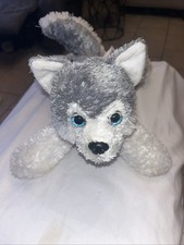 Aurora Gray White Dog Wolf