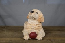 Sandicast Golden Retriever Pup