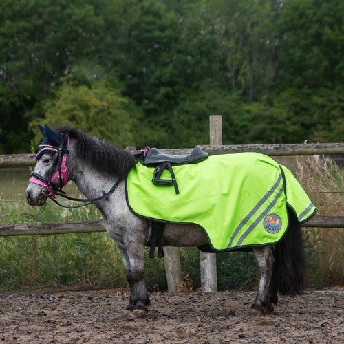 Gallop ponie retro reflective - retro,
