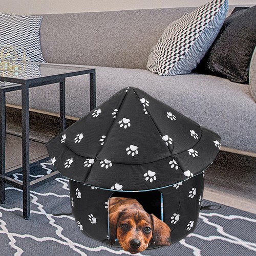 Comfortable pet dog resting - ,