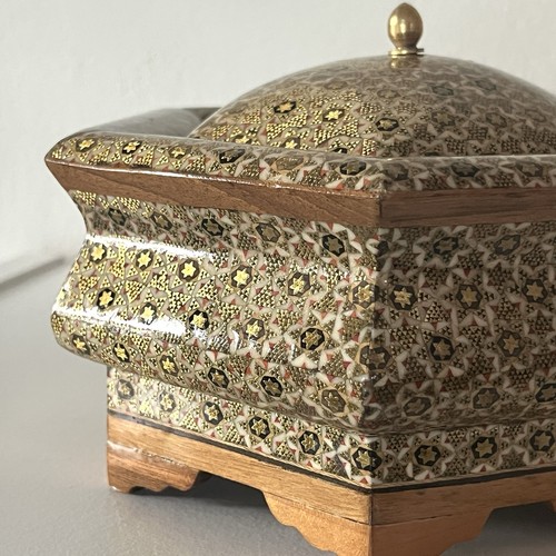 Beautiful anglo indian micro - anglo,