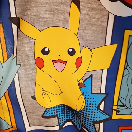 Pokémon window curtain - window,