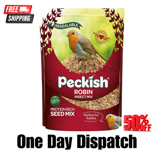 Peckish robin bird - robin, seed
