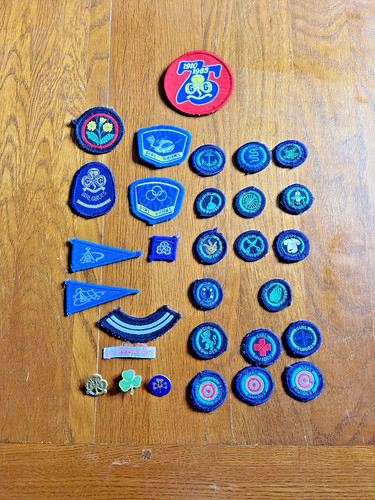 Vintage girl guides - vintage,