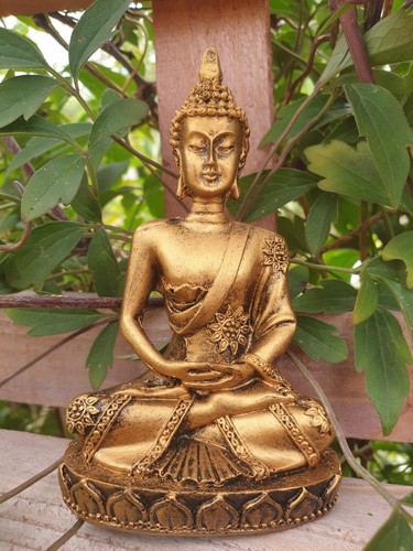 Beautiful golden coloured - golden,