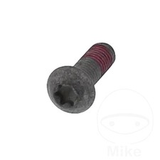 Brake Disc Screw M8 1.25 X