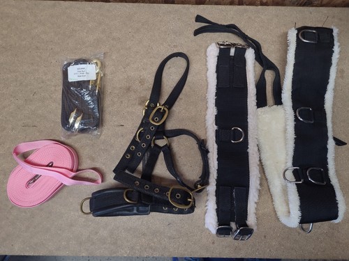 Lunging joblot small pony - joblot,small,