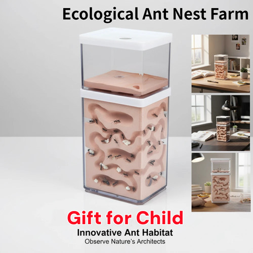 Insect ant moisture nest with - insect,